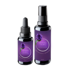 glowing vitality obnovitven komplet